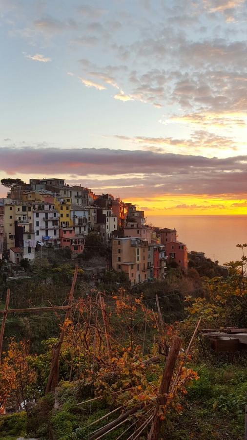 Terre Apartment Corniglia Exterior foto